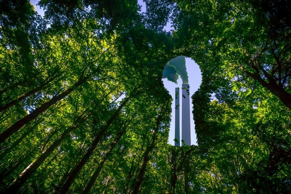 greenwashing, overview, legislation