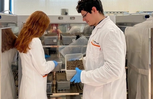 Understanding Plastics Biodegradation: Process and Environmental Impact