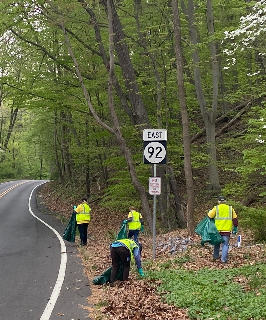 Green team at DeNovix
