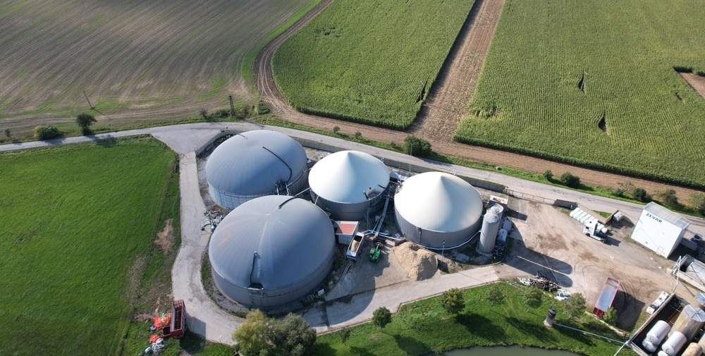 bioenergy