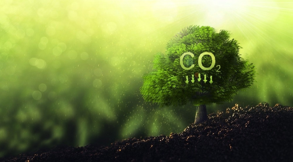 carbon storage