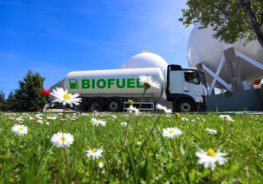 sustainable aviation fuel
