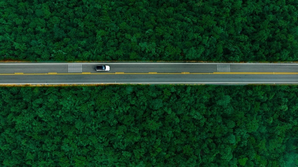 electric vehicle driving