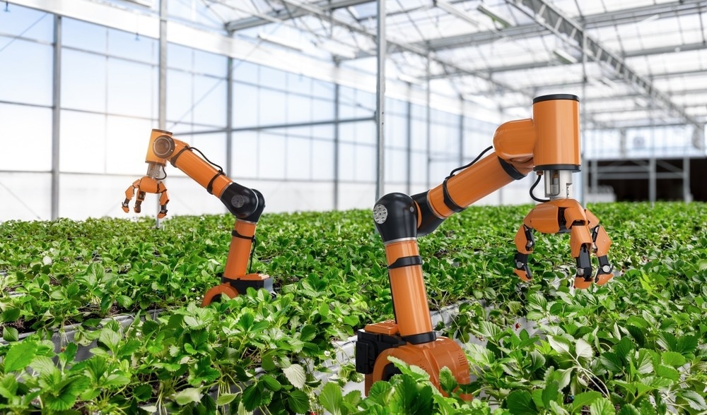 strawberry picking robot