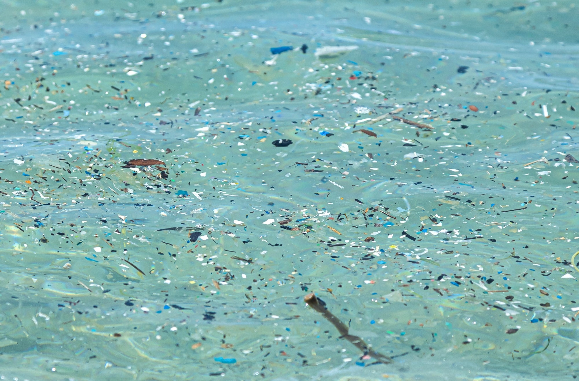 microplastics in the ocean
