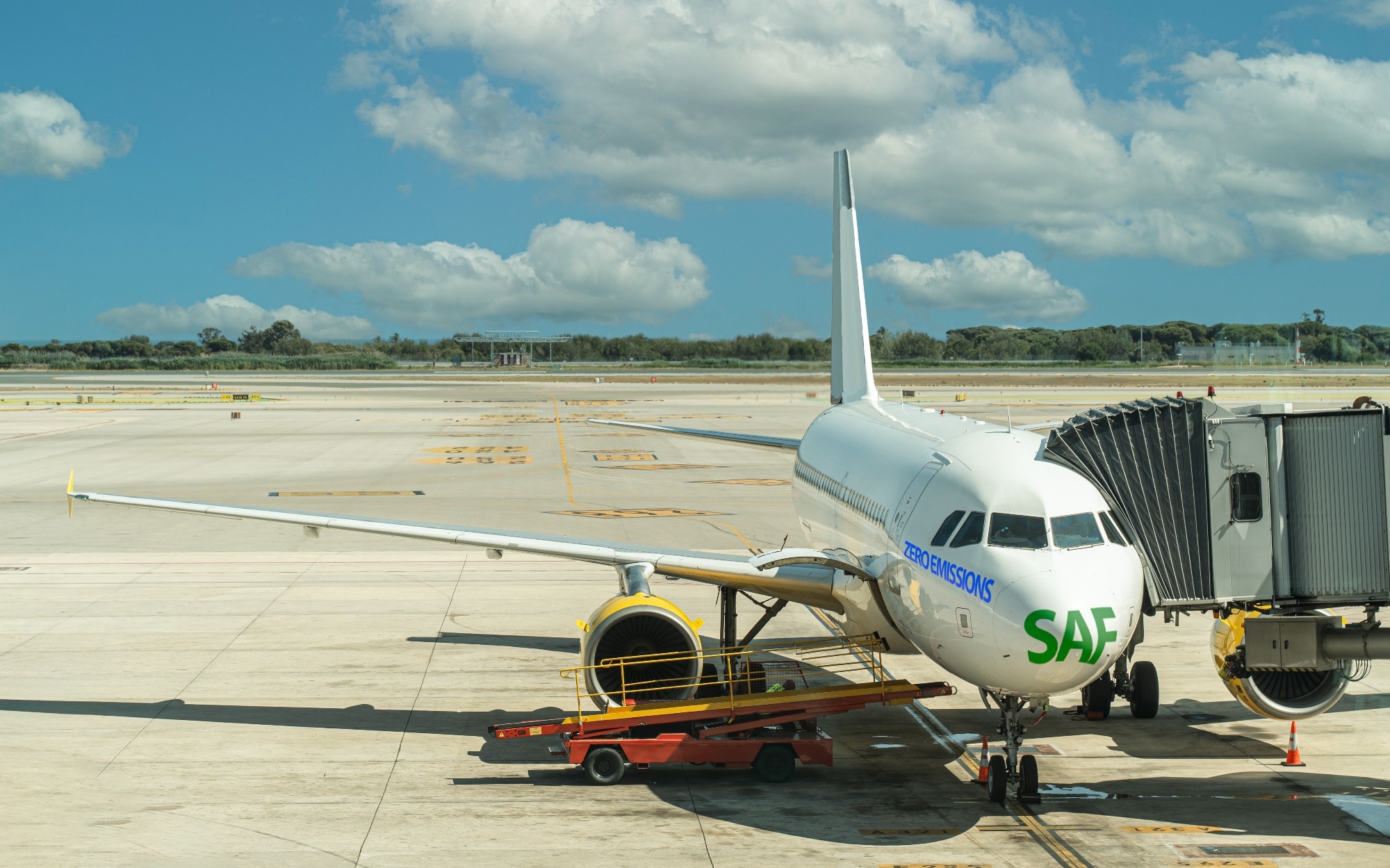 sustainable aviation fuel