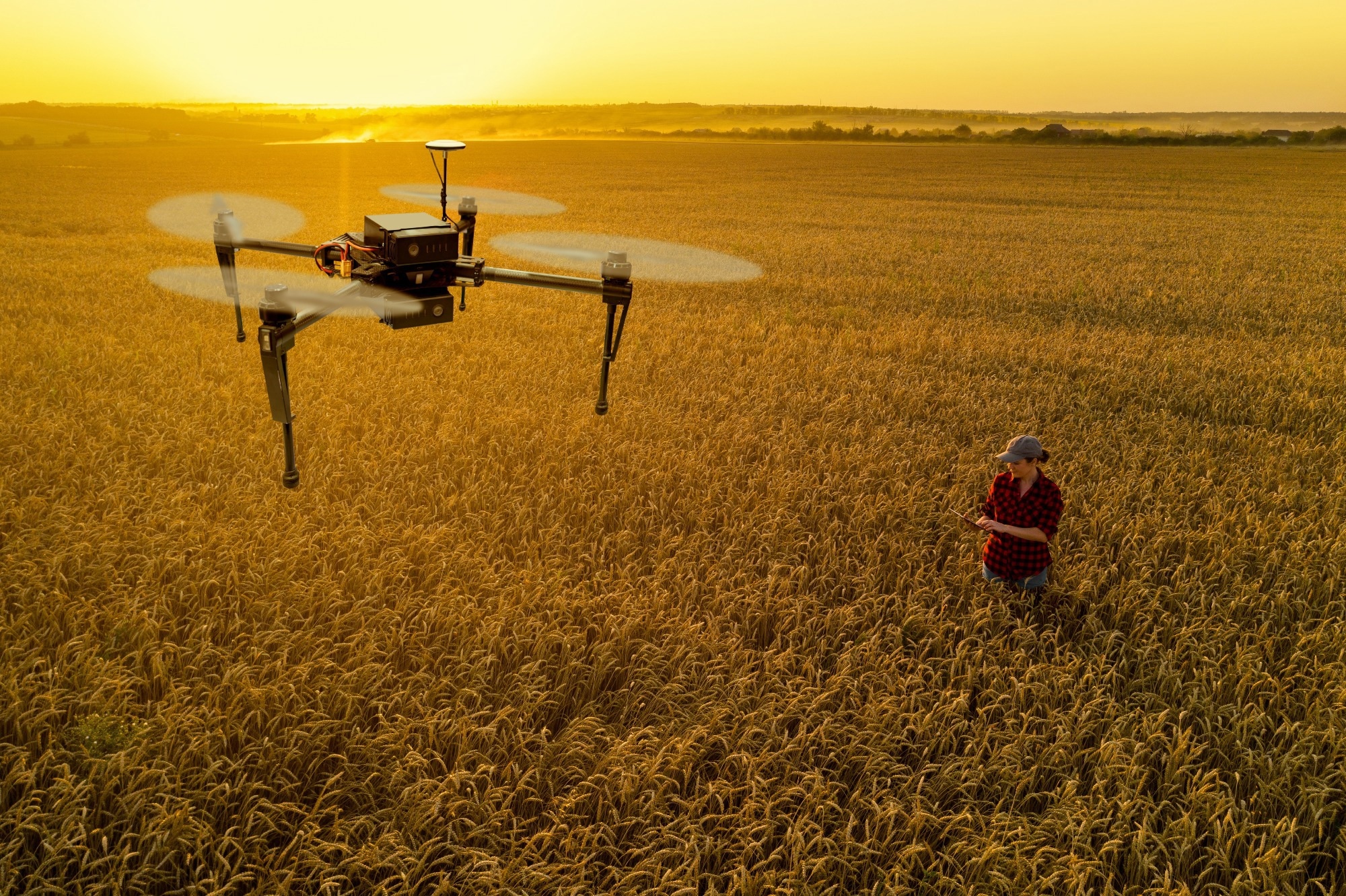 precision agriculture, drone above field in farming