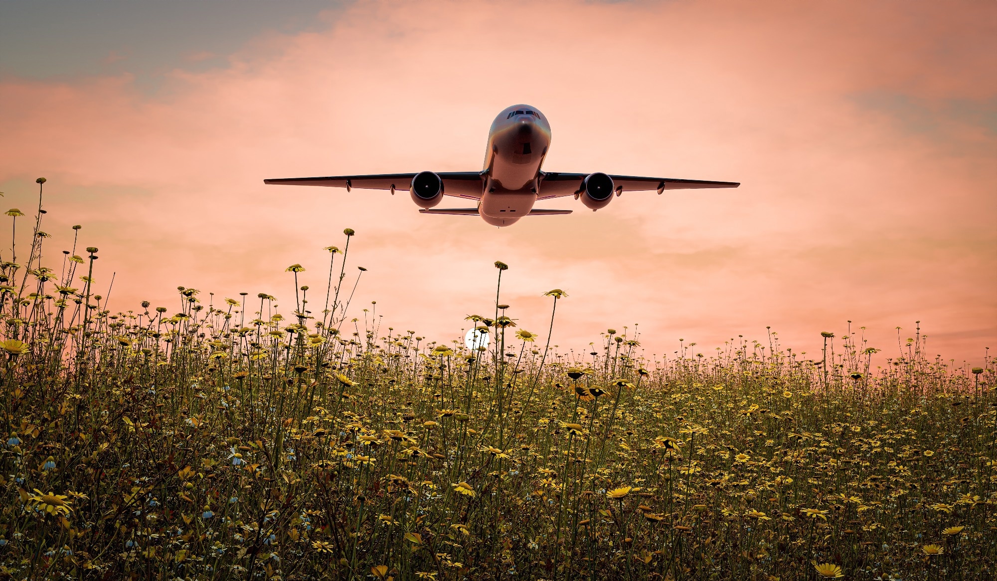 sustainable aviation fuel, SAF