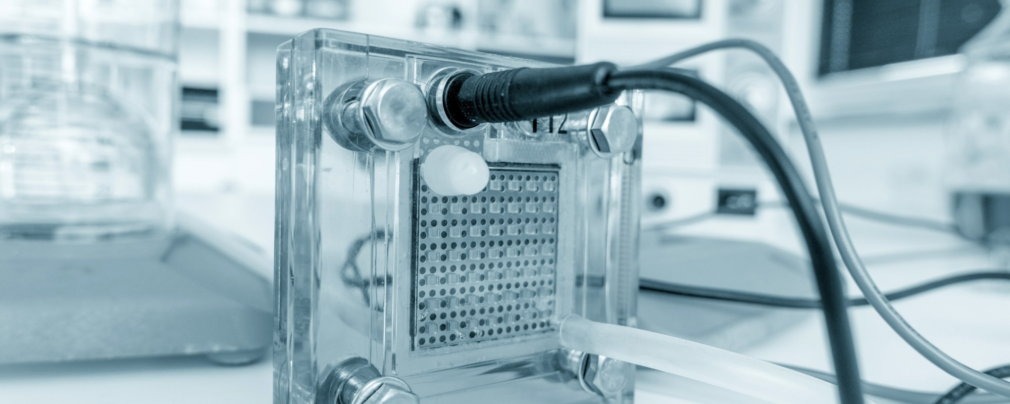 hydrogen fuel cell