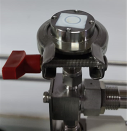 Pervaporation membrane on steel fruit