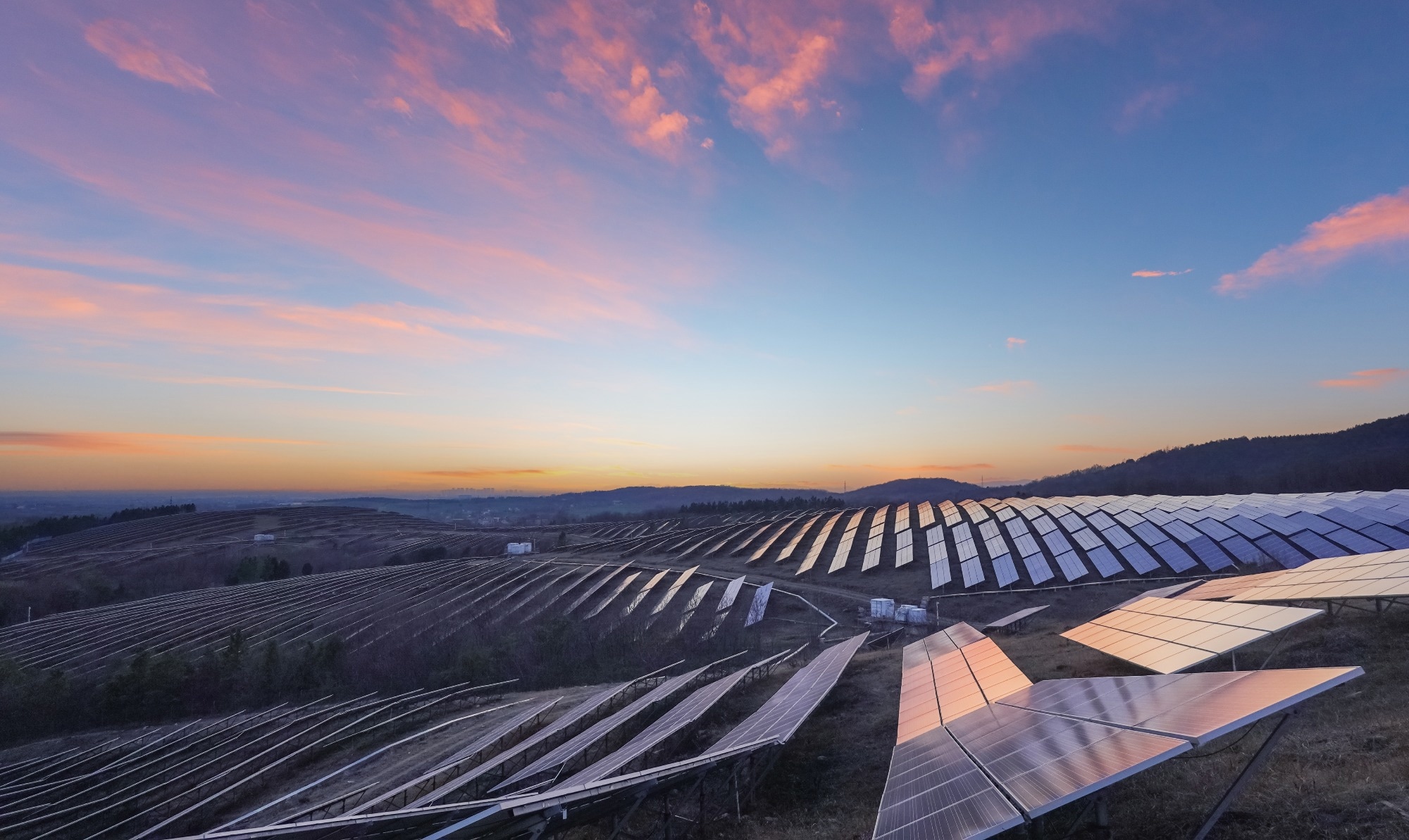 field of solar panels