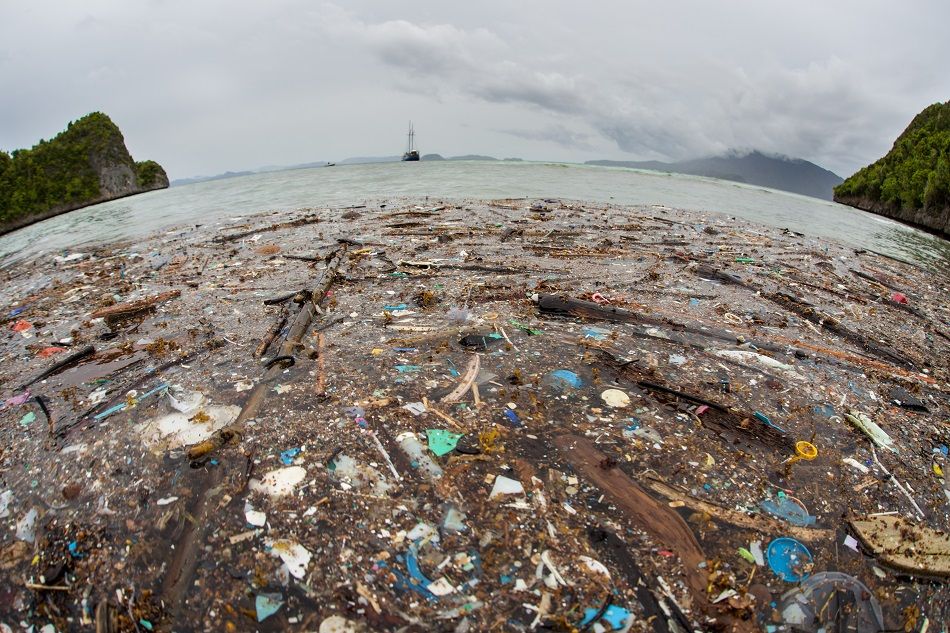 What is The Great Pacific Garbage Patch?