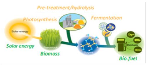 Schematic of bio-fuel production