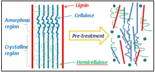 Schematic of pre-treatment