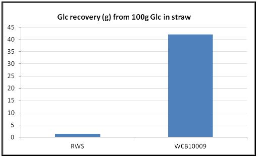 Yield of glucose recovery after enzymatic hydrolysis