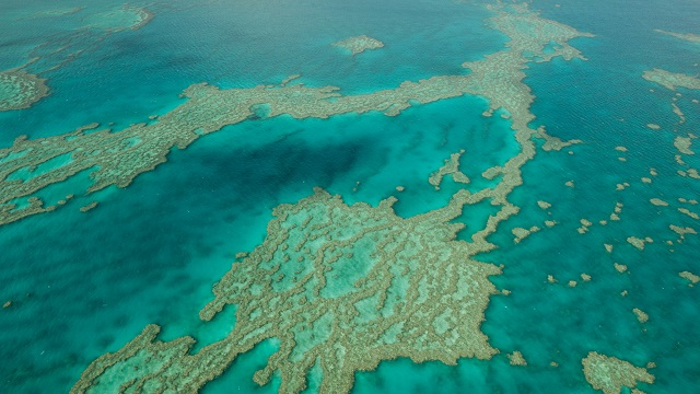 Effects of Increasing CO2 Levels on Coral Reefs