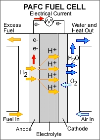 Phosphoric acid fuel cell.