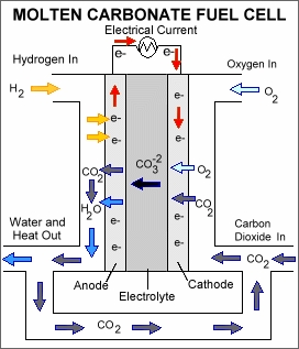 Molten carbonate fuel cell.