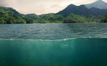 Collecting Ocean Data Using Wind and Solar-Powered Autonomous Boats