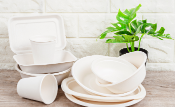 Developing Biodegradable Coating Materials Using Biopolymers