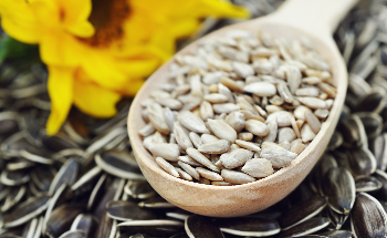 Using Food Waste to Develop Sustainable Plant-Based Ingredients