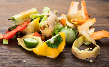 AgriProtein: Upcycling Food Waste Using Black Soldier Fly Larvae