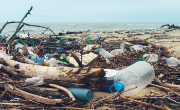 What are the Effects of Nanoplastics and Microplastics on our Environment?