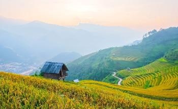 Farm From a Box: Off-Grid Toolkits for Sustainable Agriculture