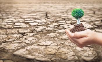 Desert Control: Tackling Desertification with Clay and Water