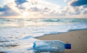 Structural Studies of Sustainable Bioplastics
