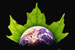 Carbon Neutral - What Does It Mean?