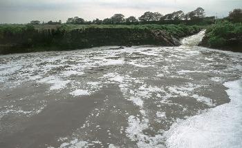 The Role AI can Play in the Detection of River Pollution