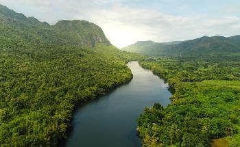 Drone Reforestation: The Future of Rebuilding Earth’s Forests with Scalable Technology