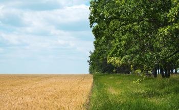 Why Regenerative Agriculture is Important for the Future of our Planet