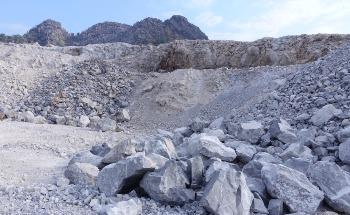 Biomimetic Carbon Capture: Using CO2 to Create a Limestone Rock Substitute