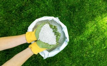 Capturing CO2 from Industrial Power Generators to Produce Sustainable Fertilizers