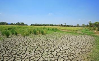 Combating Desertification and Drought: The Latest Developments