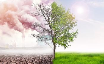 Hybrid Catalyst Technology for Sustainable Carbon Dioxide Conversion