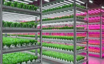 Converting Urban Areas into Indoor Pesticide-Free Farms for Year-Round Food