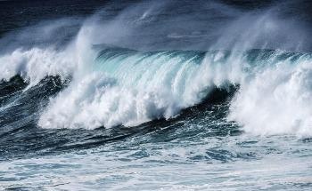 Grid-Connected Wave Energy for Commercial Power Production