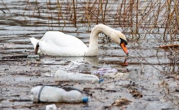 Tackling Plastic Pollution in Waterways with the ‘Seacycler'