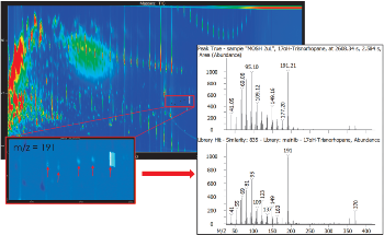 Determining the Presence of Oil Hydrocarbons in Food via Gas Chromatography