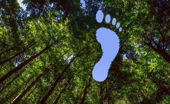 Carbon Capture Technology: Turning CO2 Emissions into Polypropylene