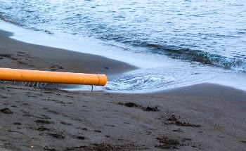 The Impacts of Human Sewage in Coastal Marine Ecosystems