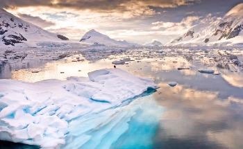 Ice Core Analysis Provides Information About Past Ecosystem Dynamics
