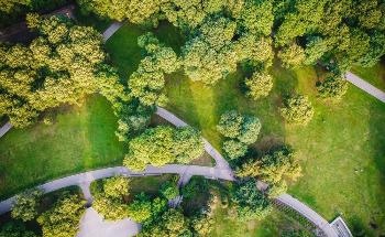 Assessing the Transpiration Rates of Urban Trees in Different Management Contexts