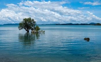 How a Floating City Could be the Answer to Rising Sea Levels