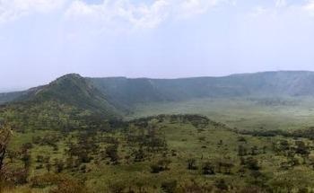 The Link Between Late Ordovician Marine Productivity and Cooling to Subaerial Volcanic Activity