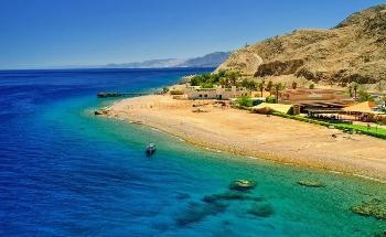 Analysis of the Factors Affecting Red Sea Phytoplankton Phenology