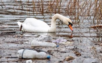 Classifying Plastics with Hyperspectral Camera Analysis and Unsupervised Machine Learning